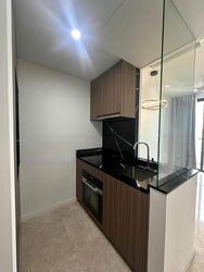 Irwell Hill Residences (D9), Apartment #457632351